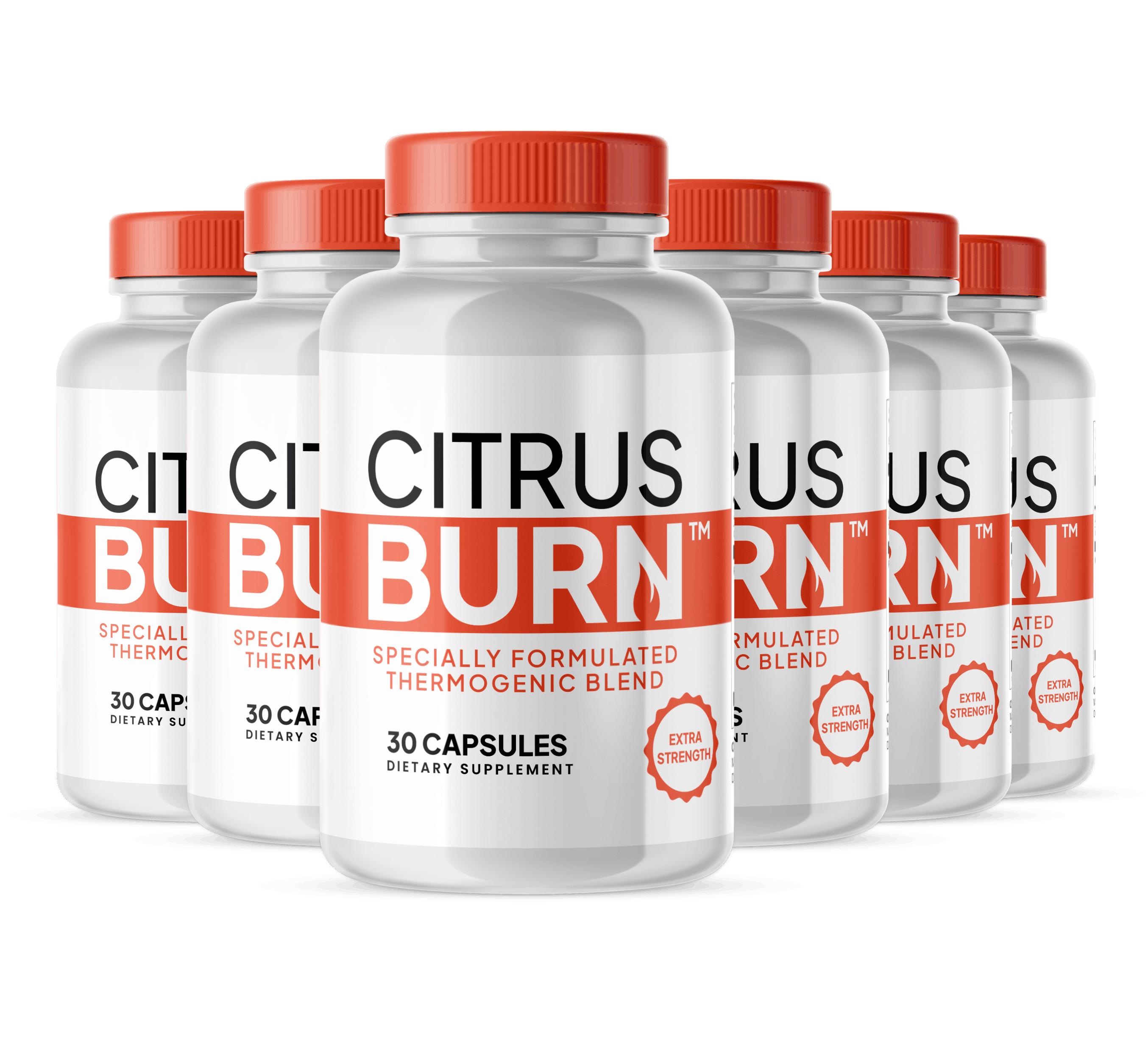 6-bottle pack of Citrus Burn — best value